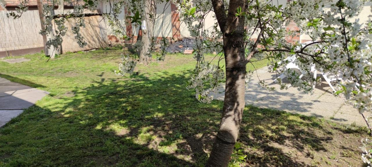 Orsi Apartman / Vendeghaz Κεσκεμέτ Εξωτερικό φωτογραφία